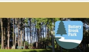 MA - South Hadley - Cruise Nights at Buttery Brook Park @ Buttery Brook Park | South Hadley | Massachusetts | United States