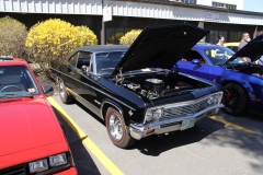 AccomplishedAuto36