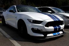 MG_0074 MG_0074