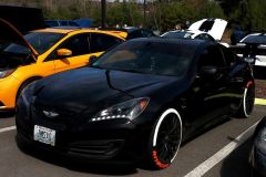 MG_0099 MG_0099