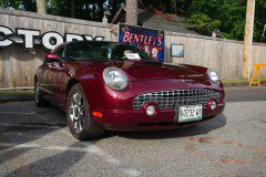 DSC03059_sized