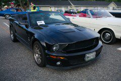 DSC03072_sized