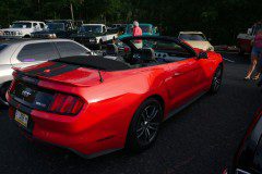 DSC03176_sized