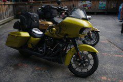 DSC03239_sized