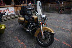 DSC03244_sized