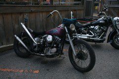 DSC03257_sized