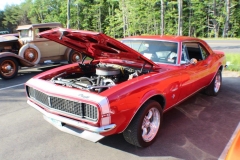 IMG_2195 IMG_2195