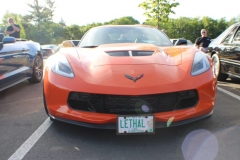 IMG_2213 IMG_2213
