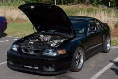 MG_0008.CR2_