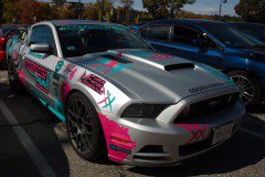 534B3976_sized