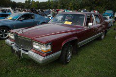 534B3754_sized