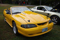 534B3787_sized