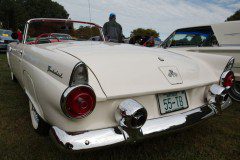 534B3802_sized