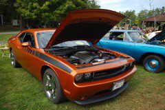 534B3842_sized
