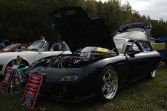 534B3852_sized