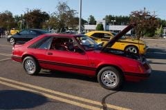 MG_0116.CR2_